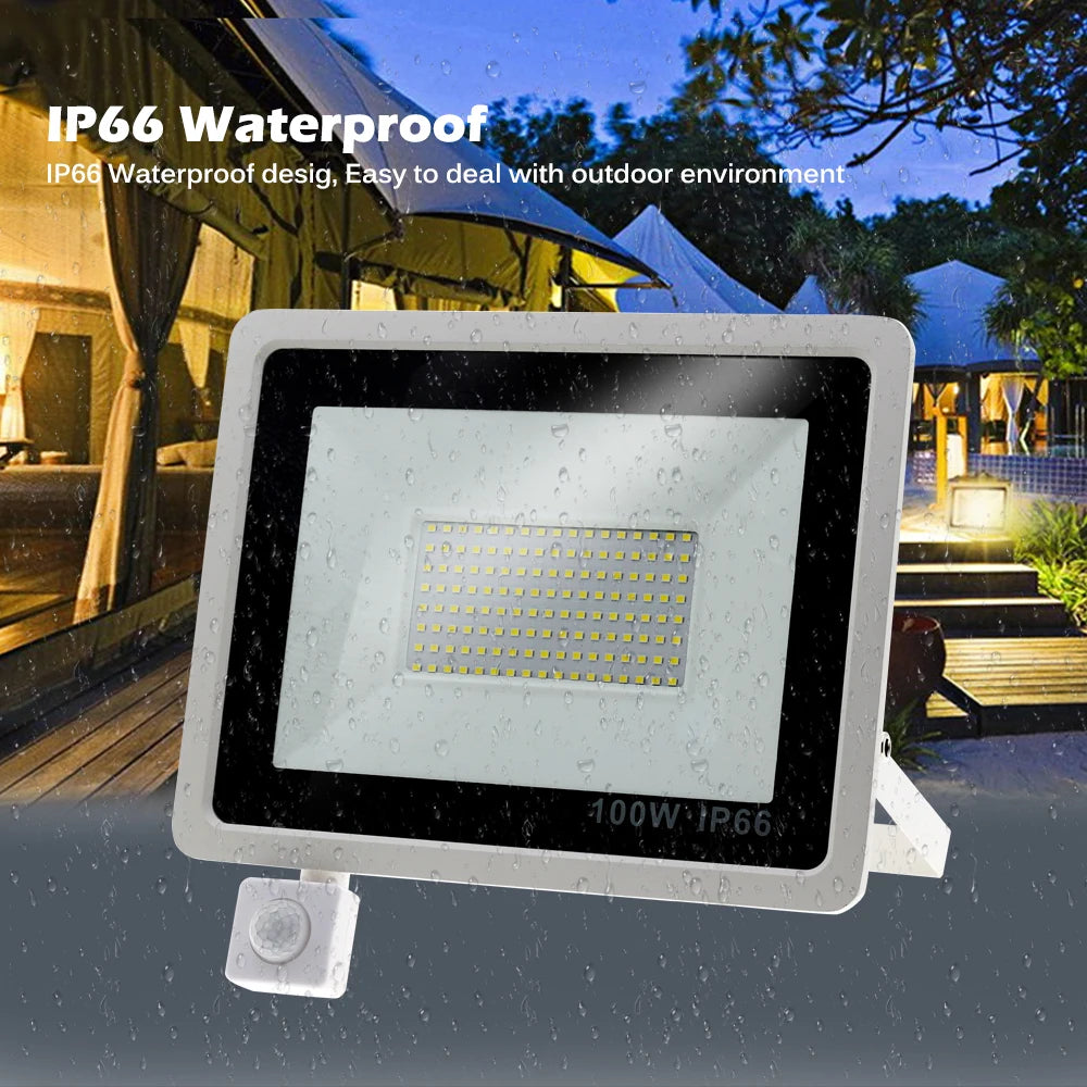 Motion Sensor LED Flood Light 220V