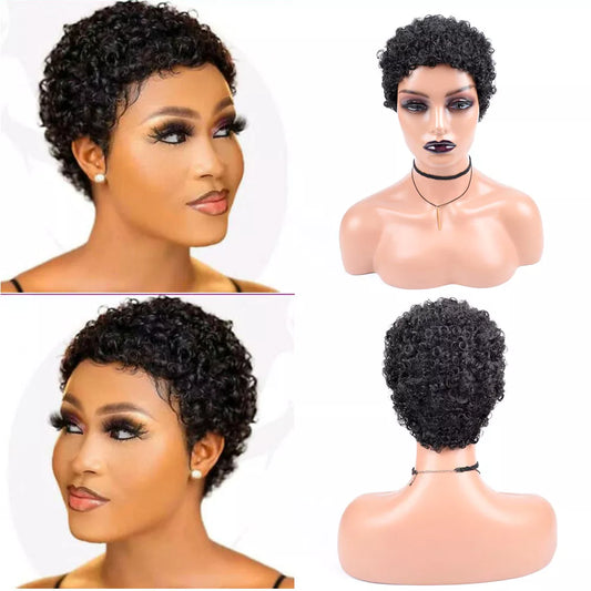 Short Afro-Curly Synthetic Hair for Black Women