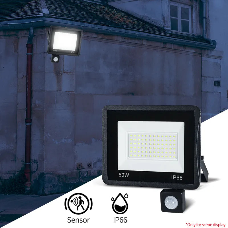 100W 50W 30W 20W  Modern Cold White LED Floodlight