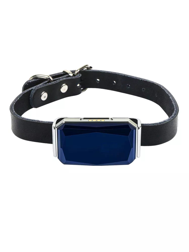 Waterproof Pet Collar GPS Tracker