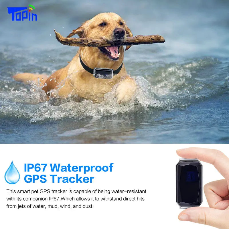 Waterproof Pet Collar GPS Tracker