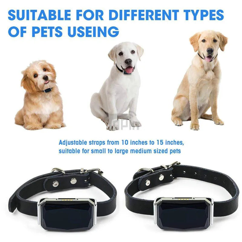 Waterproof Pet Collar GPS Tracker