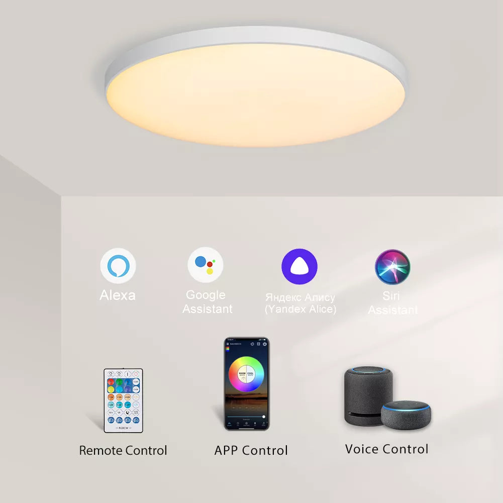 Smart Ceiling lamp with WIFI APP Voice Control