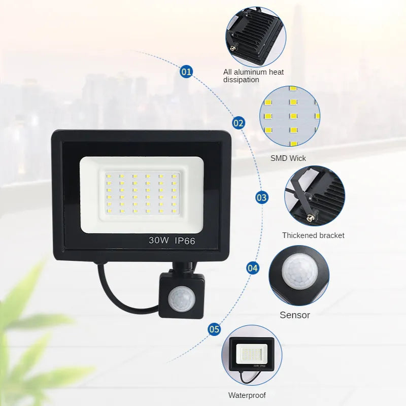 220V Motion Sensor LED Flood Light