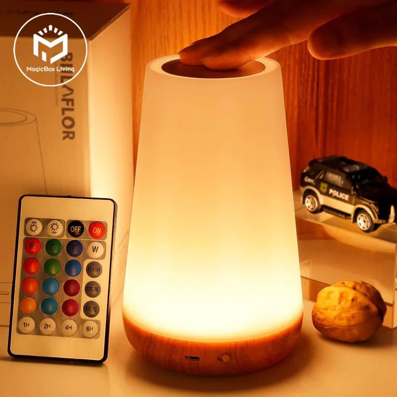 USB Rechargeable 13 Color Changing Night Light with Remote Control