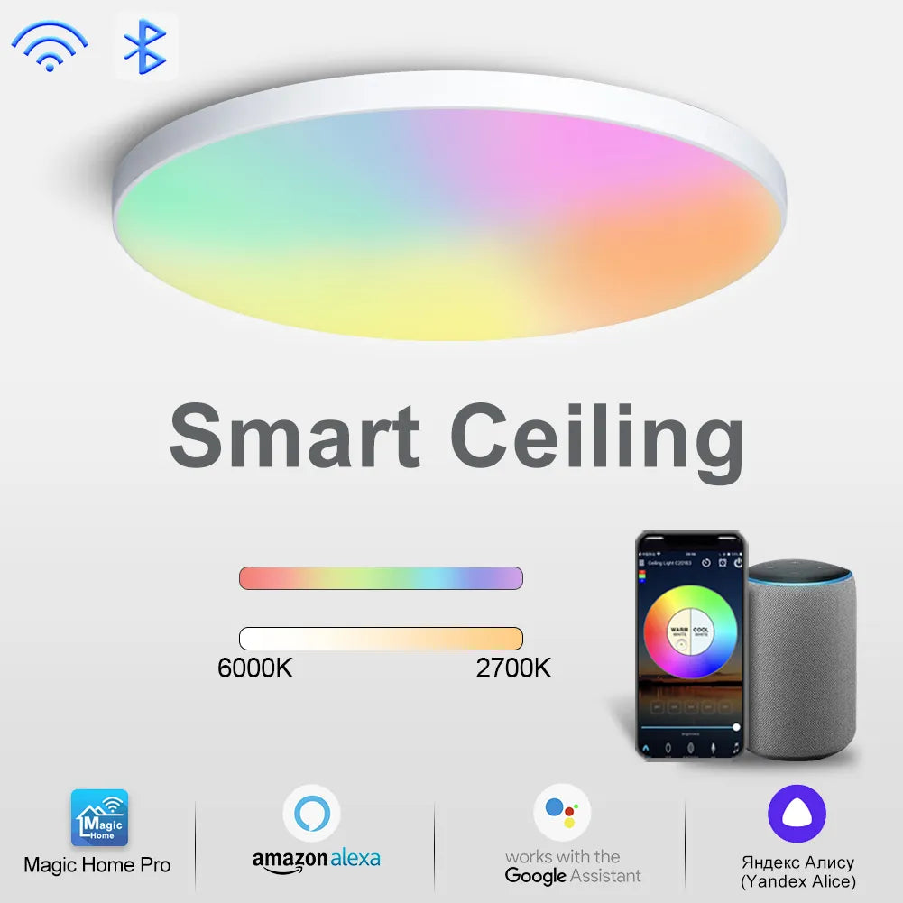 Smart Ceiling lamp with WIFI APP Voice Control