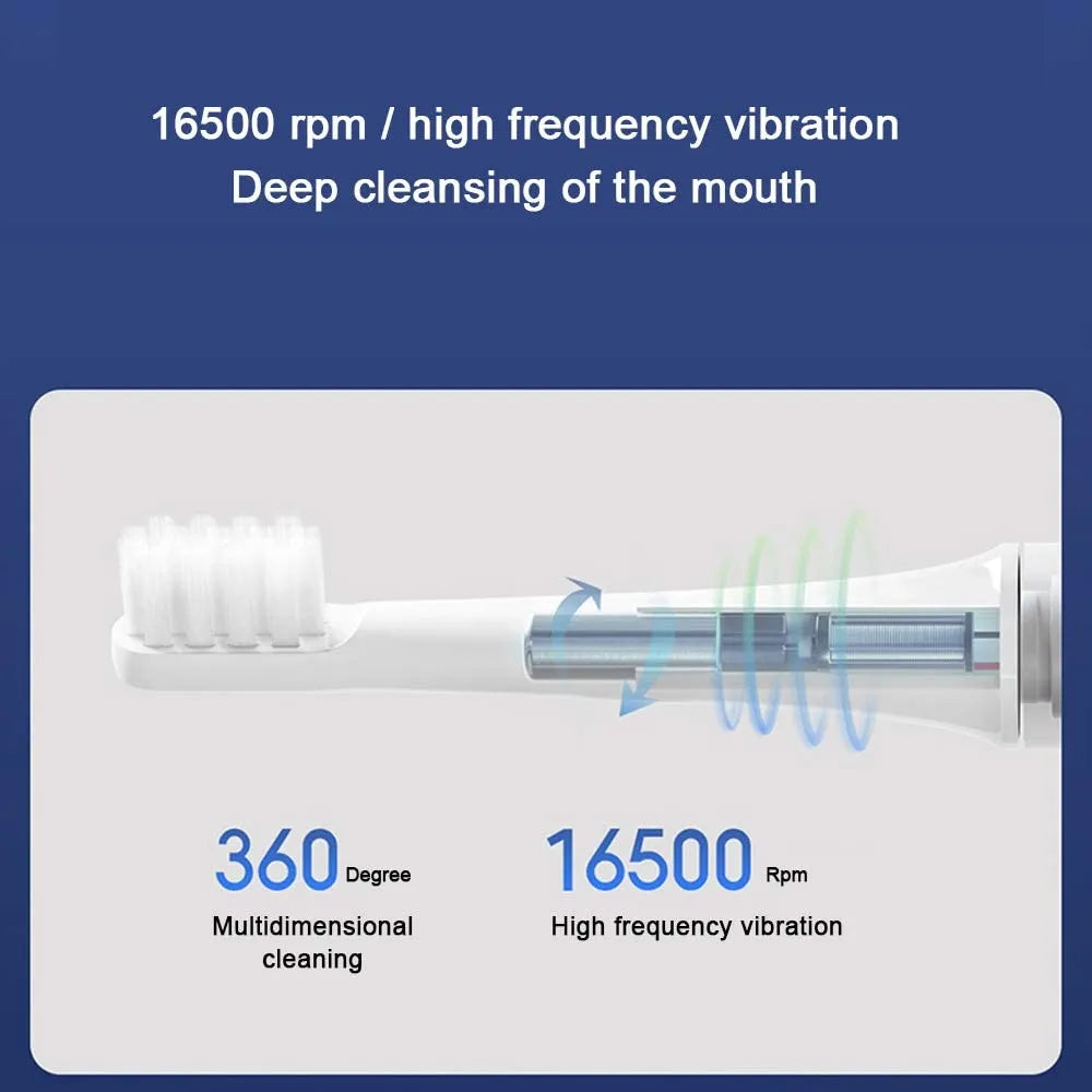 Waterproof Sonic Electric Toothbrush for Toothbrush Head