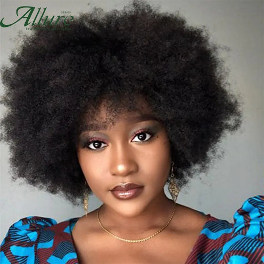 Natural Brown and Burgundy Fluffy Afro Wig for Black Women