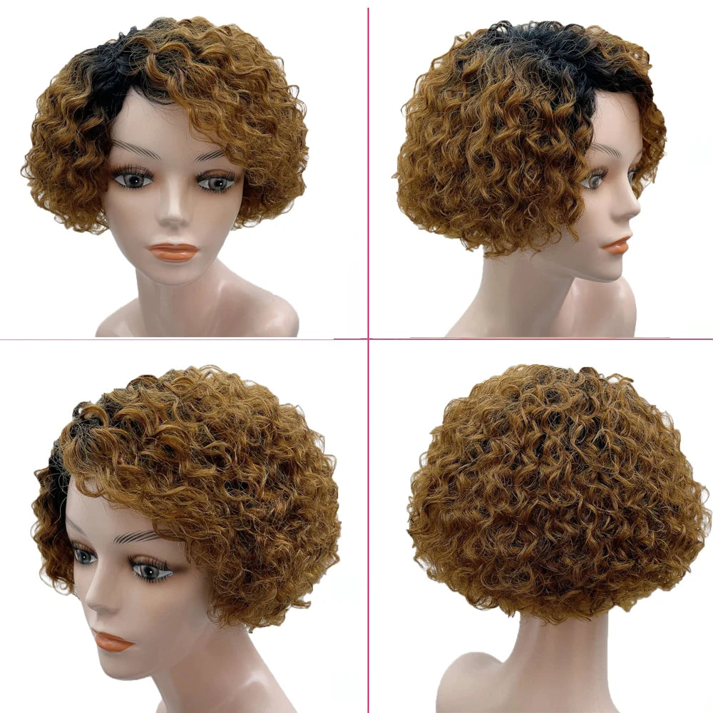 Pixie Cut Side Part Curly Human Hair Wigs