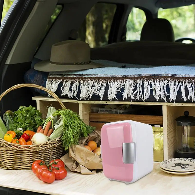 Multifunctional Small Fridge Cooler And Warmer For Vehicle