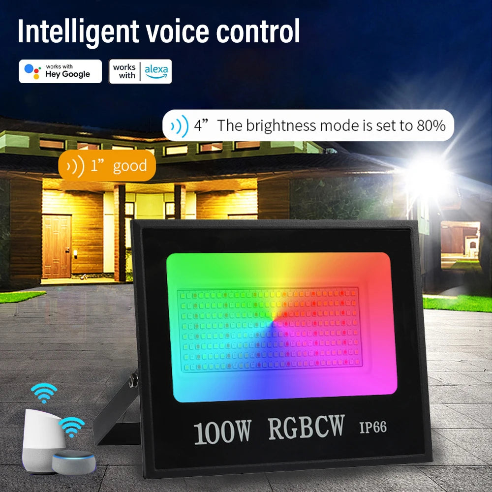 LED Smart Flood Light with Voice
