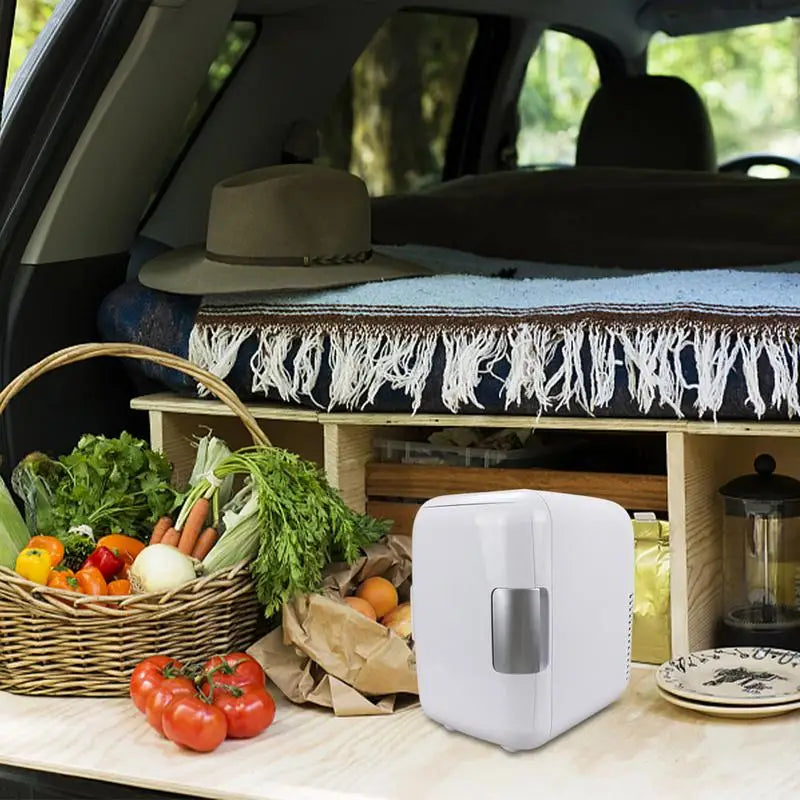 Multifunctional Small Fridge Cooler And Warmer For Vehicle