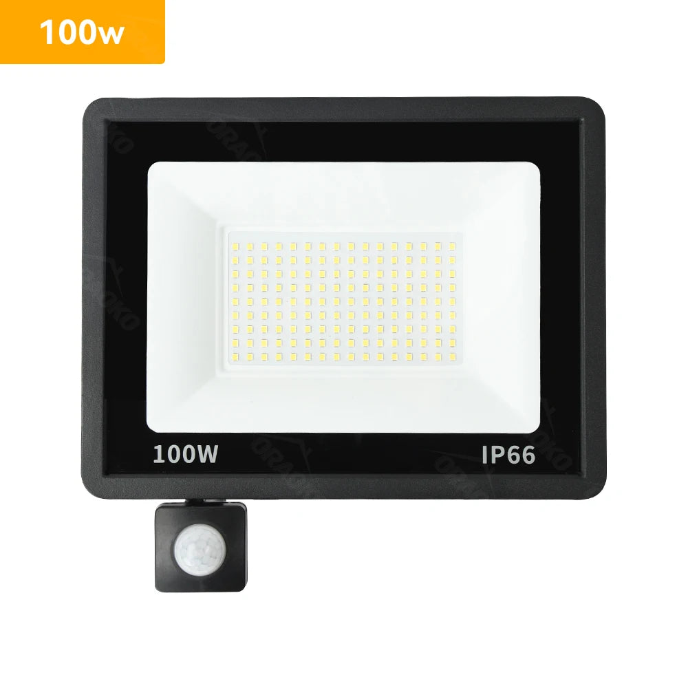 LED PIR Motion Sensor Floodlight Outdoor Wall Light White Light 100W 50W 30W 20W 10W IP66 Waterproof LED Spotlight For Garden