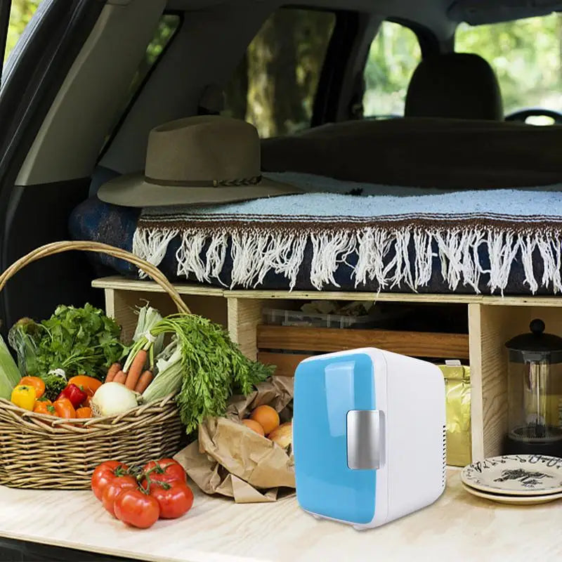 Multifunctional Small Fridge Cooler And Warmer For Vehicle